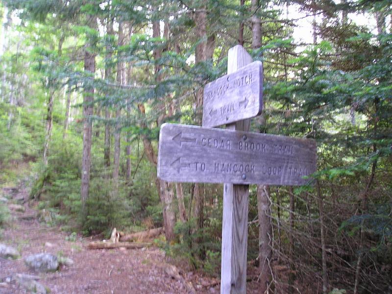 CdearBrook (4).JPG - We eventually arrived at the beginning of the Cedar Brook trail. Maybe someday we'll explore the rest of the Hancock Notch trail.